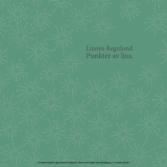 Punkter av ljus. main product photo