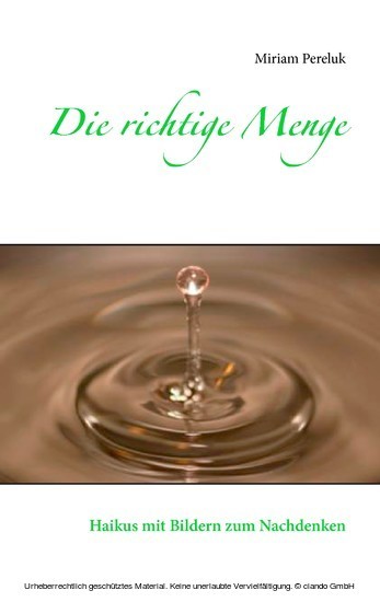 Die richtige Menge main product photo