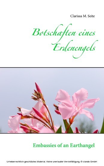 Botschaften eines Erdenengels main product photo