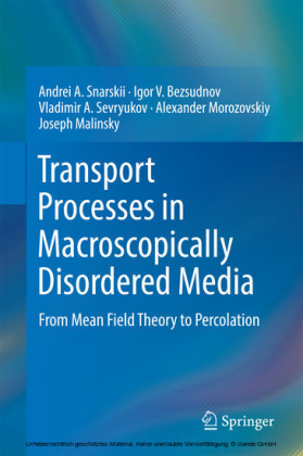 Transport Processes in Macroscopically Disordered Media