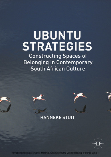 Ubuntu Strategies main product photo