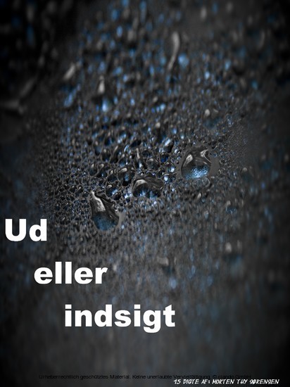 Ud eller indsigt main product photo