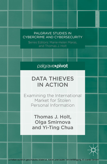 Data Thieves in Action main product photo