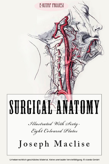 Surgical Anatomy main product photo