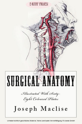 Surgical Anatomy