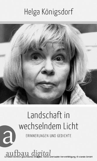Landschaft in wechselndem Licht main product photo