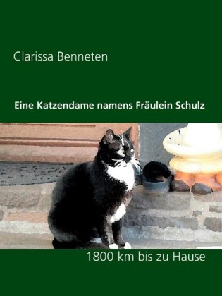 Eine Katzendame namens Fräulein Schulz