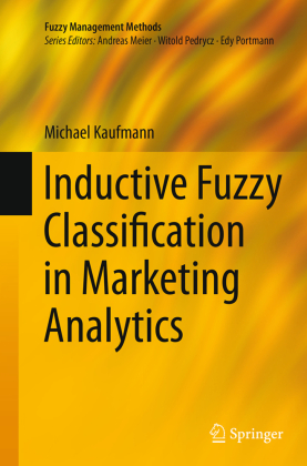 Inductive Fuzzy Classification in Marketing Analytics