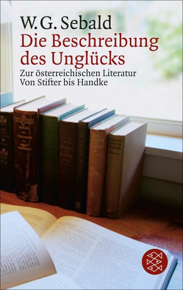 Die Beschreibung des Unglücks main product photo