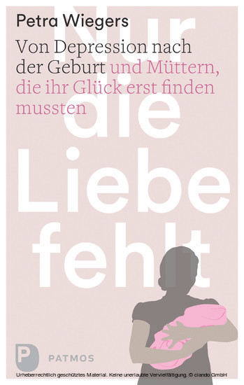 Nur die Liebe fehlt main product photo