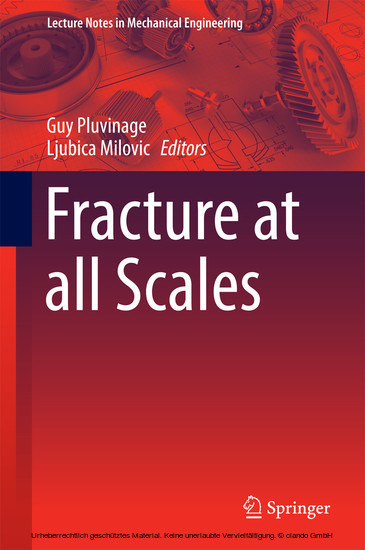 Fracture at all Scales main product photo