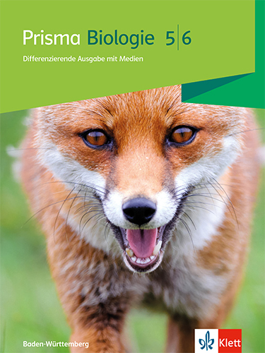 Natura Schwerpunkte Naturwissenschaftliches Arbeiten und Biologie 5. Ausgabe Bayern main product photo
