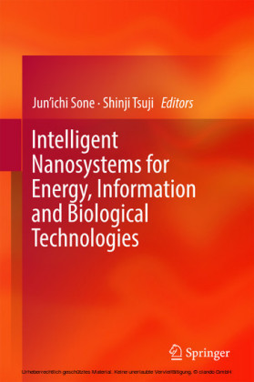 Intelligent Nanosystems for Energy, Information and Biological Technologies