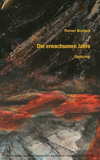 Die erwachsenen Jahre main product photo