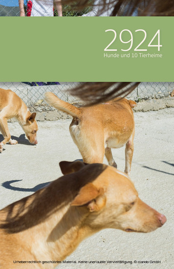 2924 Hunde und 10 Tierheime : Roman main product photo