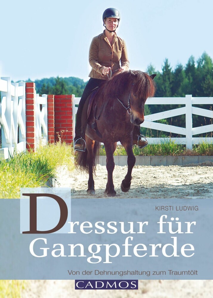 Dressur für Gangpferde main product photo