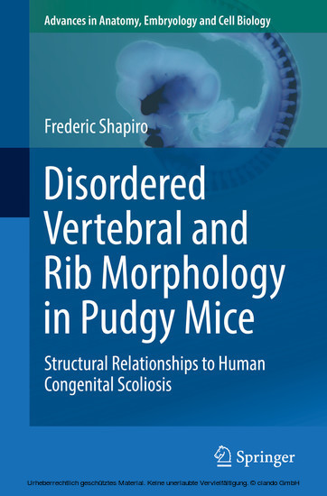 Disordered Vertebral and Rib Morphology in Pudgy Mice main product photo