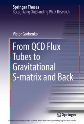 From QCD Flux Tubes to Gravitational S-matrix and Back