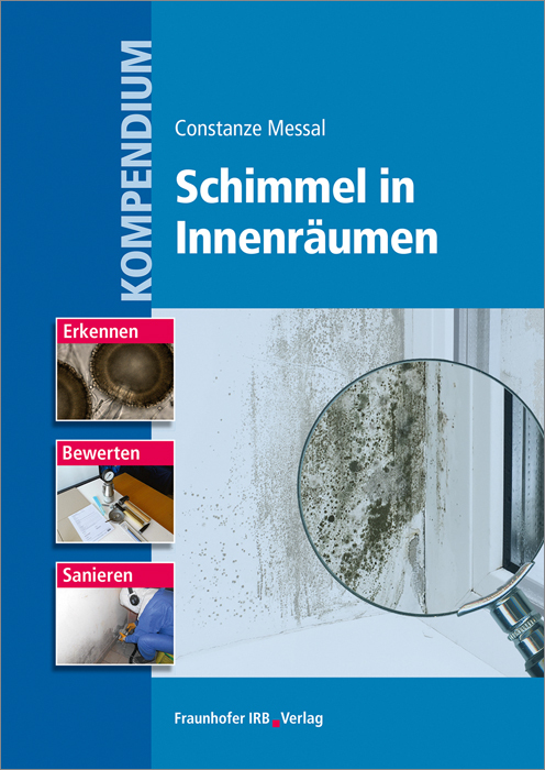 Kompendium Schimmel in Innenräumen main product photo