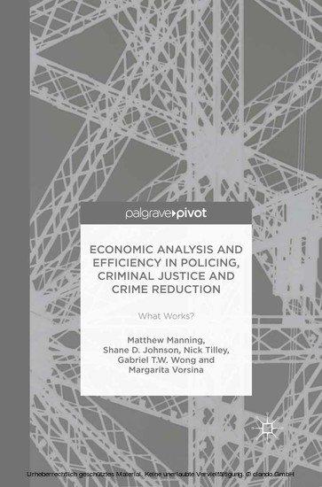 Economic Analysis and Efficiency in Policing, Criminal Justice and Crime Reduction main product photo