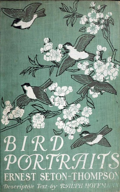 Bird Portraits main product photo