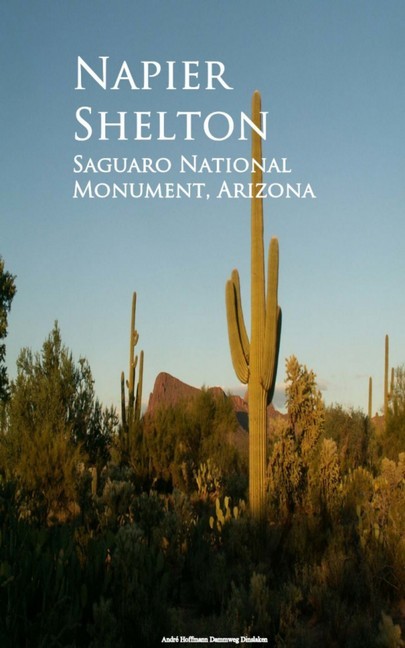 Saguaro National Monument, Arizona main product photo