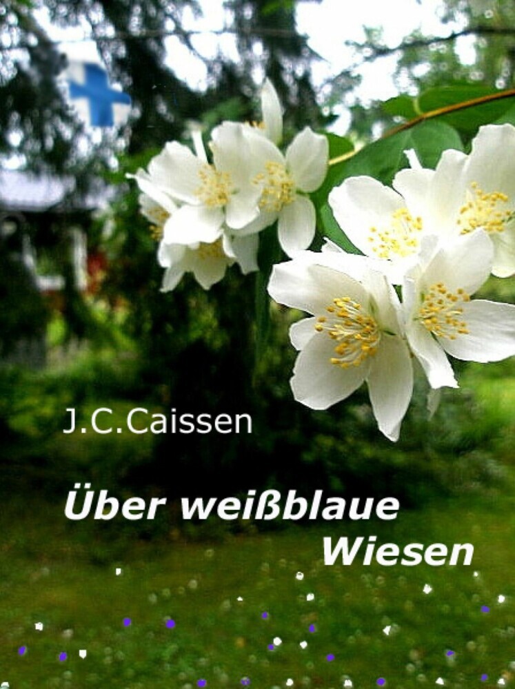 Über weißblaue Wiesen main product photo