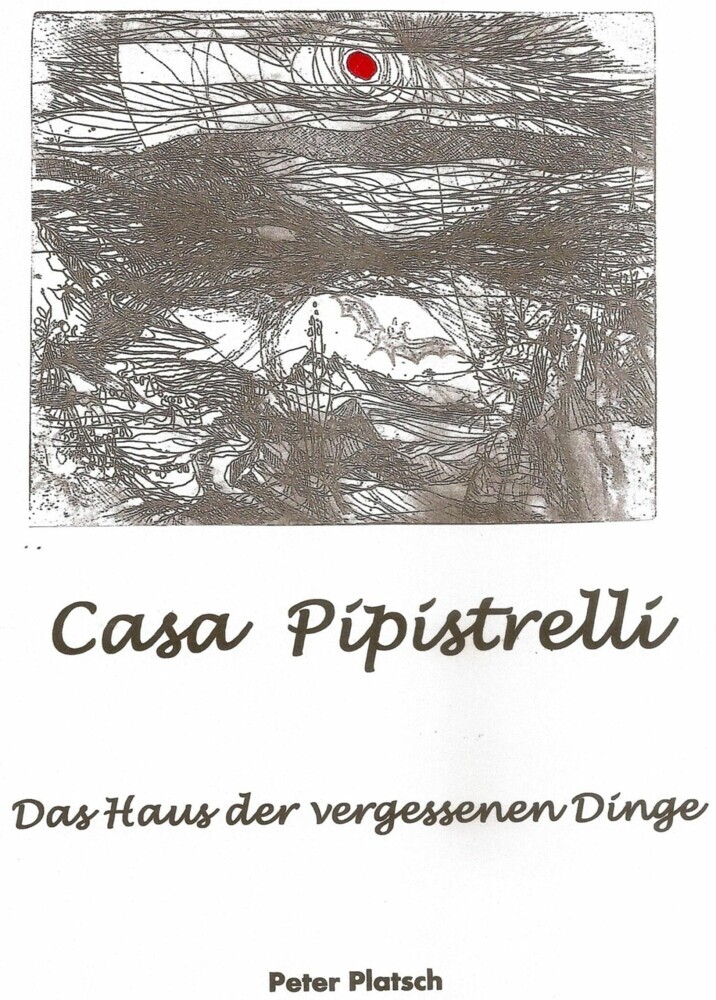 Casa Pipistrelli Das Haus der vergessenen Dinge main product photo