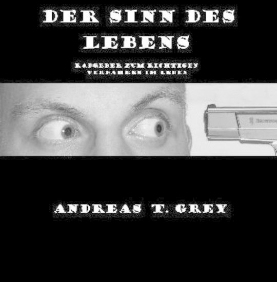 Der Sinn des Lebens main product photo