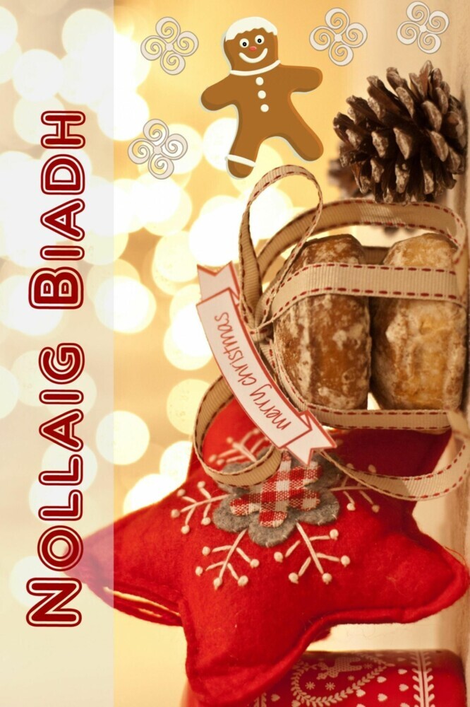Nollaig Biadh main product photo