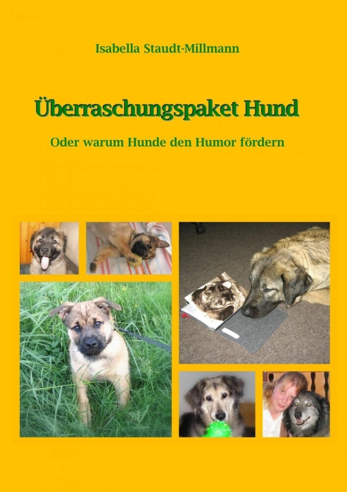Überraschungspaket Hund main product photo