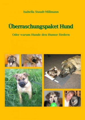 Überraschungspaket Hund