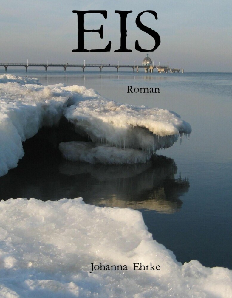 EIS main product photo