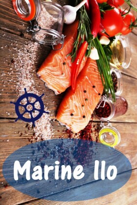 Marine Ilo
