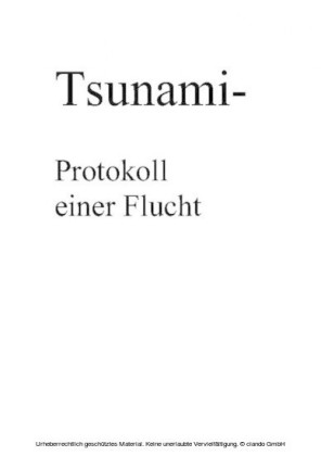 Tsunami- Protokoll einer Flucht