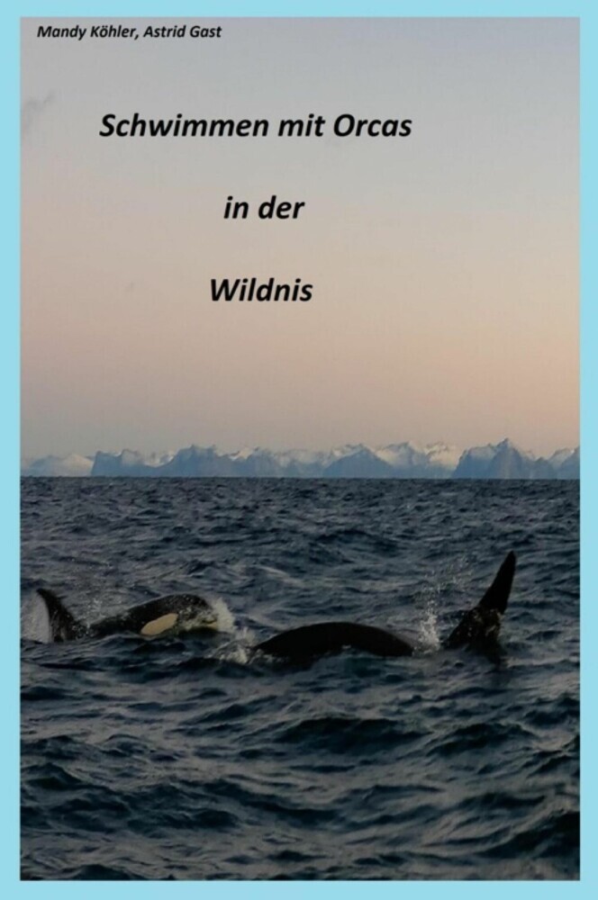 Schwimmen mit Orcas in der Wildnis main product photo