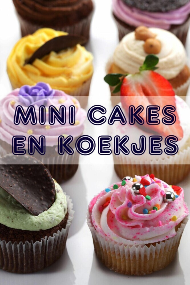 Mini Cakes en Koekjes main product photo