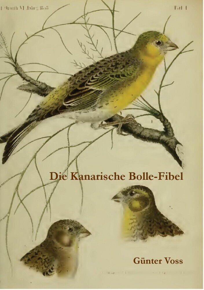 Die Kanarische Bolle-Fibel main product photo