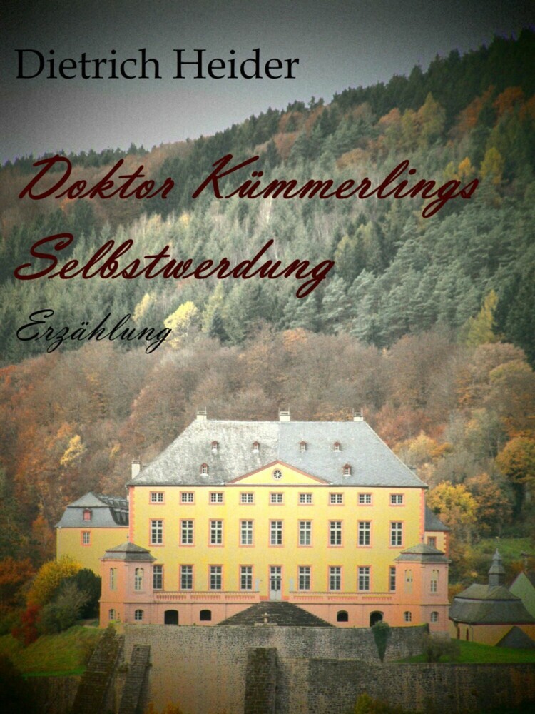 Doktor Kümmerlings Selbstwerdung main product photo