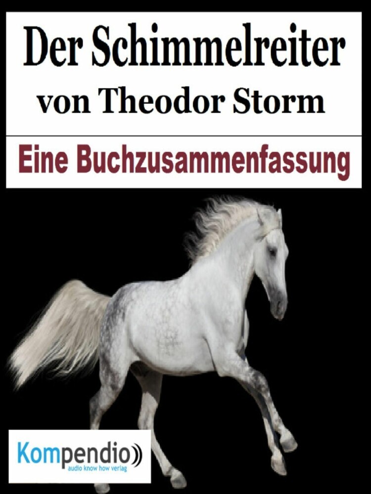 Der Schimmelreiter von Theodor Storm main product photo