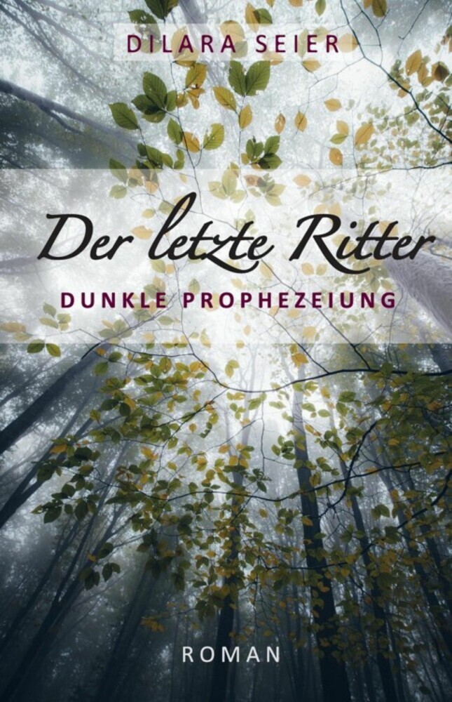 Der letzte Ritter main product photo