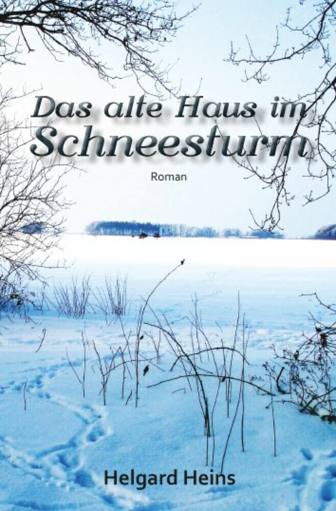 Das alte Haus im Schneesturm main product photo