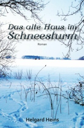 Das alte Haus im Schneesturm