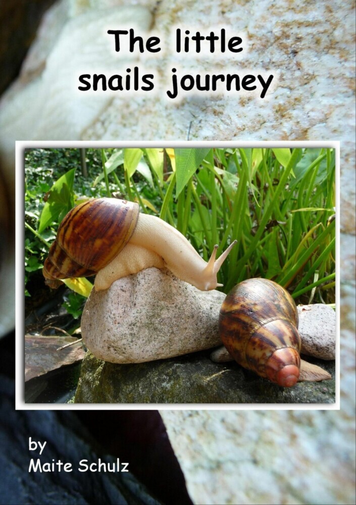 The little snails journey main product photo