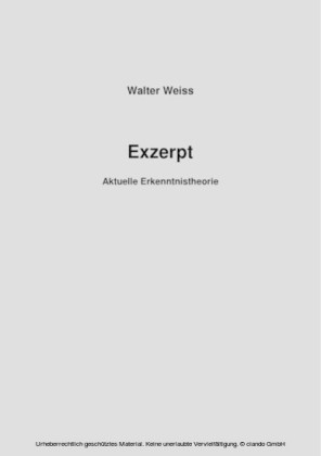 Exzerpt