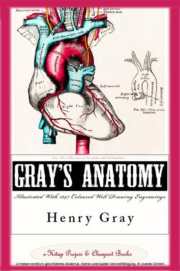 Gray's Anatomy (Illustrated With 1247 Coloured Well Drawing Engrawings) main product photo