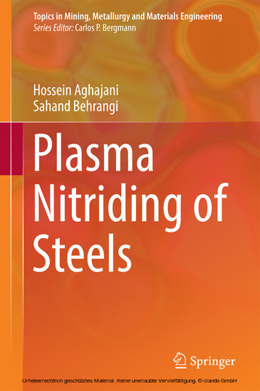 Plasma Nitriding of Steels main product photo