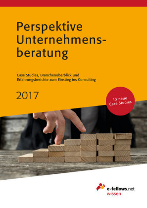 Perspektive Unternehmensberatung 2017