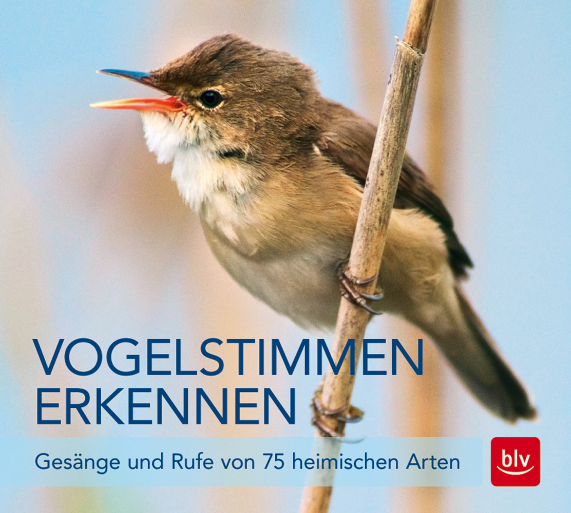 Vogelstimmen erkennen, Audio-CD main product photo