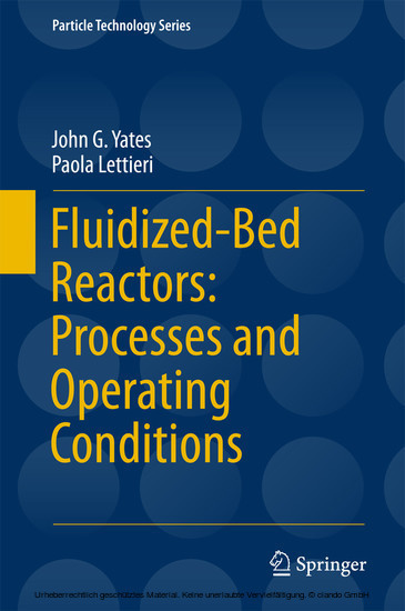 Fluidized-Bed Reactors: Processes and Operating Conditions main product photo